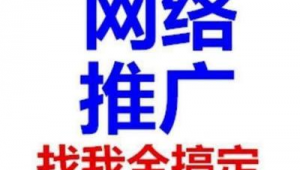 西安好的网络推广公司-网友赵德柱的博客