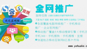 网络推广外包收益-网友赵德柱的博客