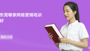 东莞网络推广培训