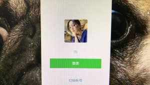 上海交友网络推广工具-网友赵德柱的博客