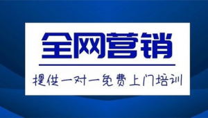 虎门全网营销网络推广
