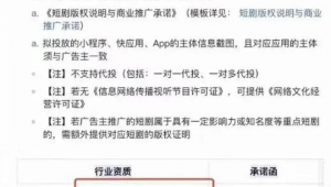 网络节目推广方案-网友赵德柱的博客