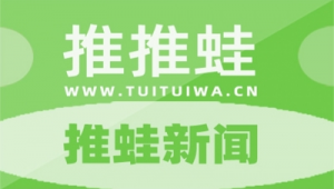 推蛙网络推广做什么的-网友赵德柱的博客