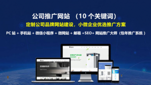 深圳网络推广报价-网友赵德柱的博客