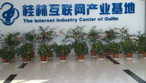 柳州网络推广公司