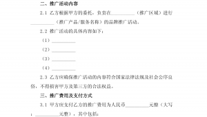 网络推广外包合同范本