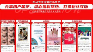 小红书推广选布马网络-网友赵德柱的博客