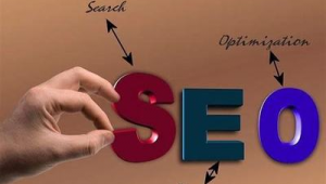 seo优化网络推广费用-网友赵德柱的博客