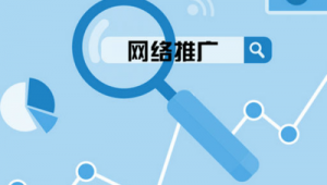 网络怎么样做推广-网友赵德柱的博客