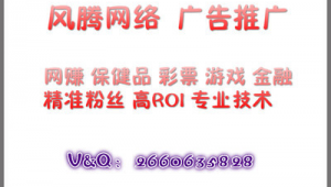 泰安网络公司推广服务-网友赵德柱的博客