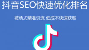 山东网络推广排名-网友赵德柱的博客