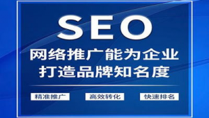 网络推广发展为seo-网友赵德柱的博客