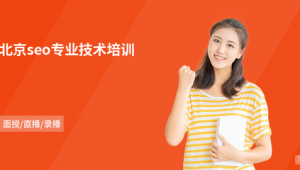 北京seo网络推广培训多少钱-网友赵德柱的博客