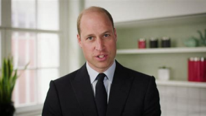 网络广告推广案例-网友赵德柱的博客