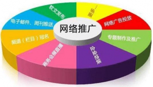 网络公司做推广套餐-网友赵德柱的博客