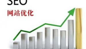 网络推广正确方案-网友赵德柱的博客