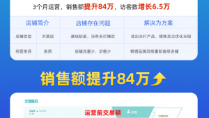 电子商务网络运营推广