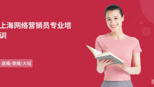 上海网络推广培-网友赵德柱的博客