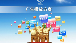 网络推广咨询问价-网友赵德柱的博客