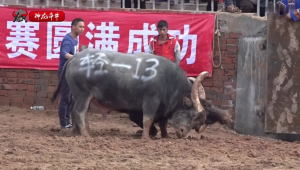 长沙斗牛网络推广公司-网友赵德柱的博客