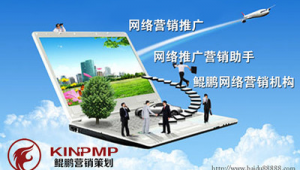 聊城网络推广外包-网友赵德柱的博客