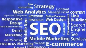 灯塔seo网络推广-网友赵德柱的博客