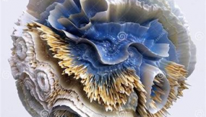 做网络推广平台哪个好-网友赵德柱的博客