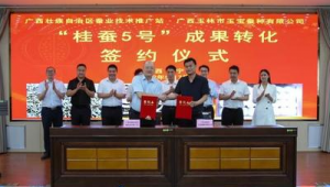 玉林网络推广站-网友赵德柱的博客