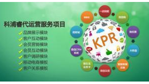 珠海网络推广代运营-网友赵德柱的博客