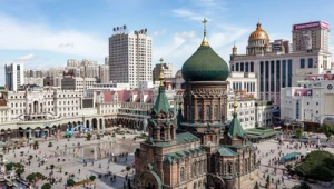 哈尔滨网络推广关注公众号笑全