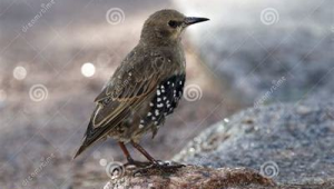 网络推广专员日常工作-网友赵德柱的博客