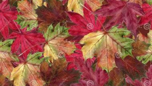 网络线上推广是什么