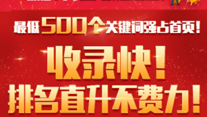 乐山市SEO