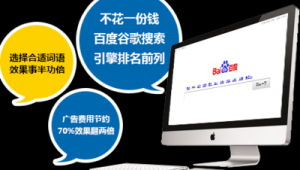 网络推广和竞价代运营-网友赵德柱的博客