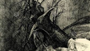 网络媒体推广效果-网友赵德柱的博客