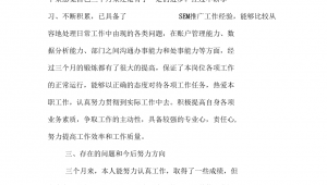 网络推广学习能力总结