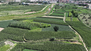 广西筑巢网络推广-网友赵德柱的博客