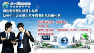 网络推广必要性-网友赵德柱的博客