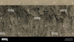 网络营销推广软件开发-网友赵德柱的博客