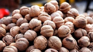 总结成县核桃的网络推广效果-网友赵德柱的博客