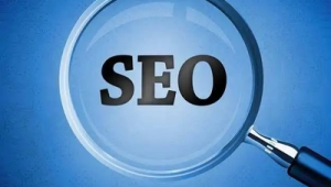 seo2推广网络3-网友赵德柱的博客