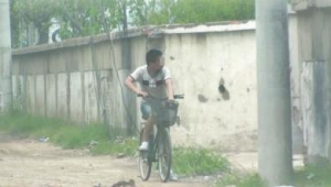 河南交友网络推广网站-网友赵德柱的博客