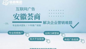 合肥企业网络推广外包-网友赵德柱的博客