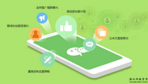 网络推广合作代运营-网友赵德柱的博客