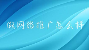 做推广网络怎么样-网友赵德柱的博客