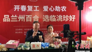 定西市网络推广