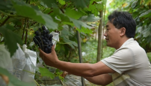 农家乐网络推广渠道-网友赵德柱的博客