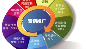 网络推广好的方式-网友赵德柱的博客