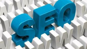 seo2推广网络-网友赵德柱的博客