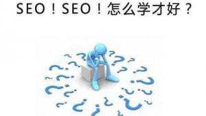 网络推广seo好学吗-网友赵德柱的博客